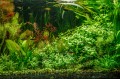 ca074517-fd9a-4307-938e-58678ce761b6.jpg