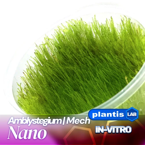 Nano.jpg