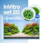 Set In-Vitro (B) 20 kubeczków
