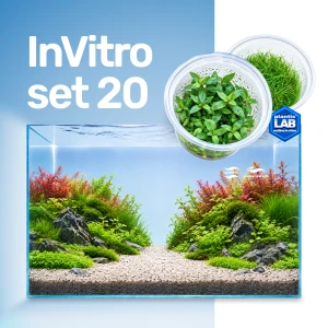 Set In-Vitro (B) 20 kubeczków
