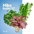 Miks Roślin D.jpg
